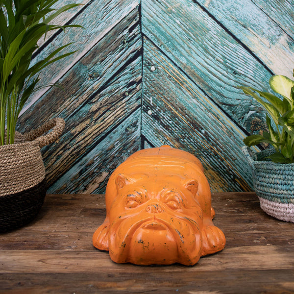 Carl the Bulldog - Orange