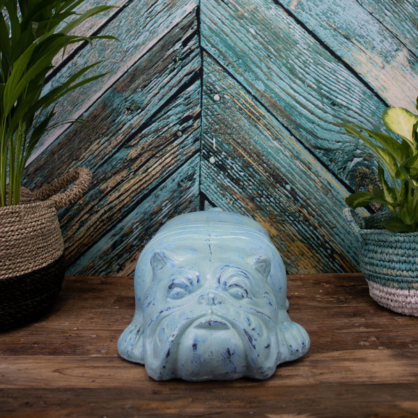 Carl the Bulldog - Turquoise