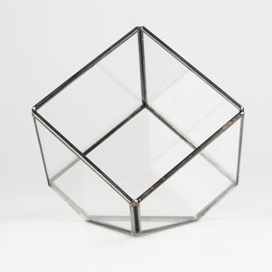 Black Cube Shape Terrarium