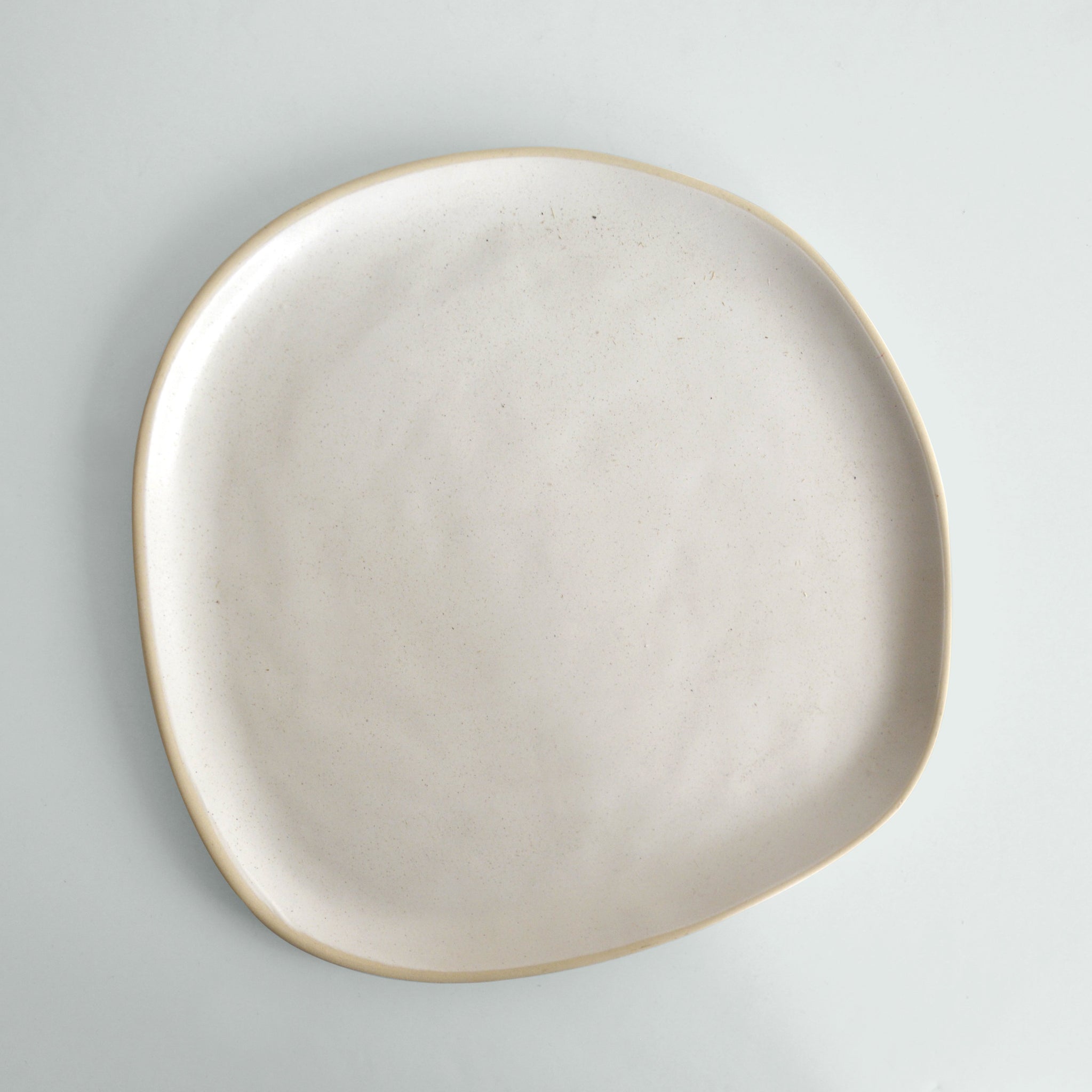 Organic Dinner Plate - (Set of 4) Fennel
