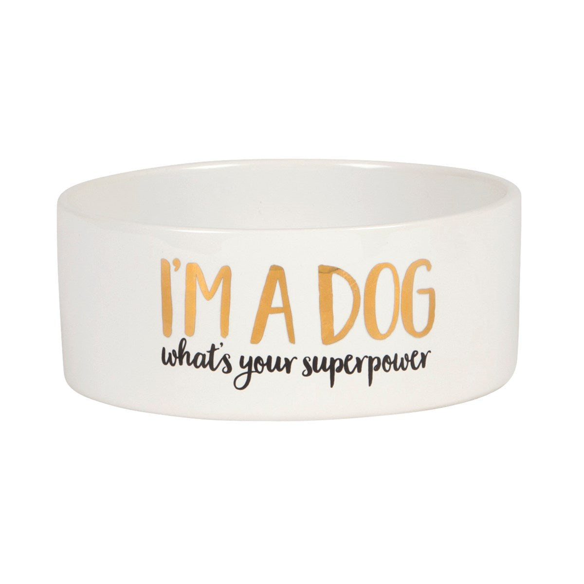 Dog Superpower Pet Bowl