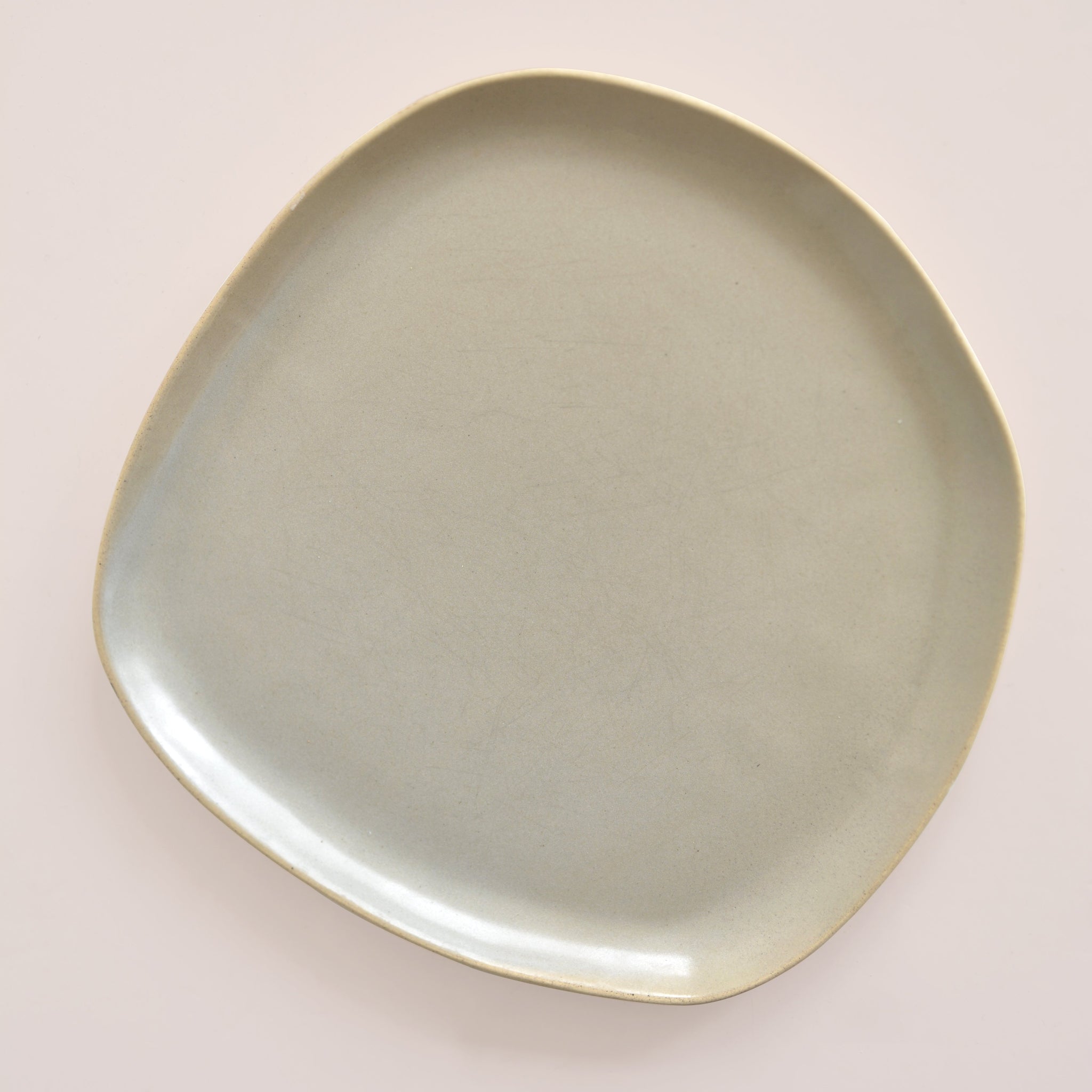Organic Dinner Plate - (Set of 4) Mushroom