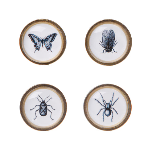Nature Drawer Knob Assorted (Set of 4)