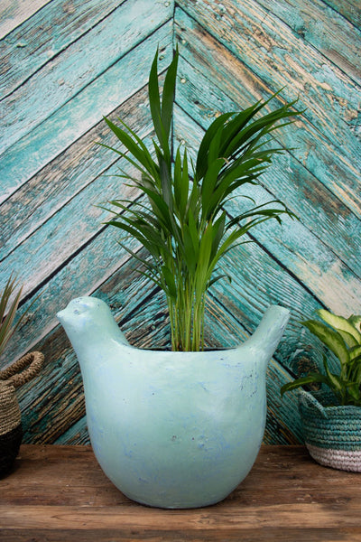 Oliver Bird Planter - Turquoise