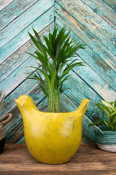 Oliver Bird Planter - Yellow