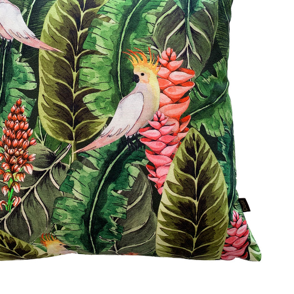 Parrot Cushion