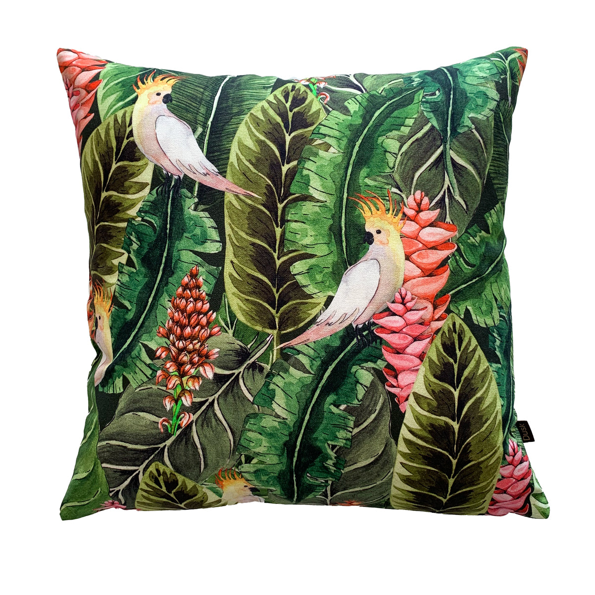 Parrot Cushion